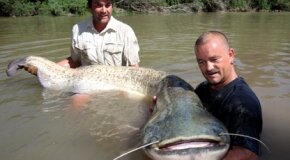 9 CON CÁ LỚN NHẤT BỊ BẮT TRONG LỊCH SỬ CÂU CÁ