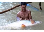 BÀI 6 : BÚN NỀN ĐỂ PHA TINH MÙI