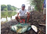 CÁCH TÌM CHỖ CÁ CHÉP Ở ĐỂ CÂU HIỆU QUẢ