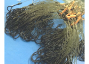 CHÙM NHO LƯỠI CÂU